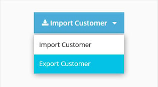 Bulk Import or Export Customer