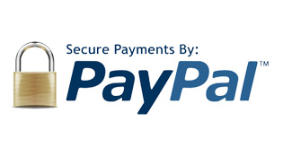 Accept Payment Using PayPal